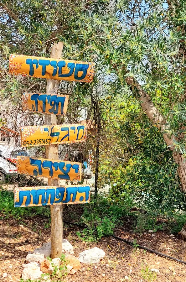 מפגש התפתחות אישית בסטודיו